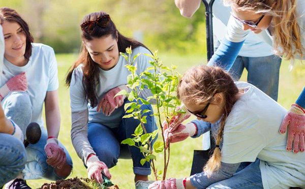 Lorem Ipsum is simply dummy text of the printing and typesetting industry